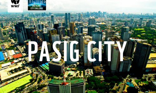 Pasig View