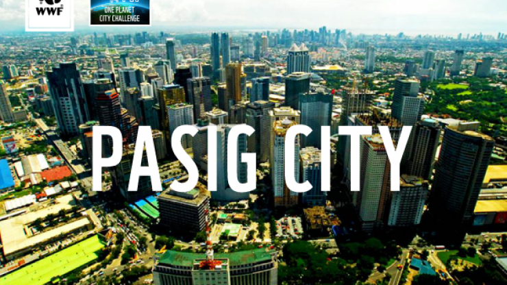 Pasig View